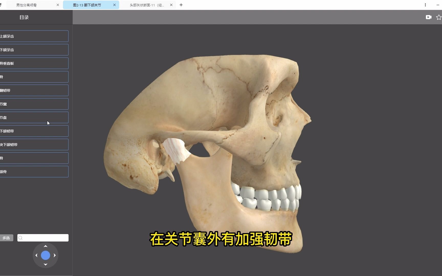 【医维度解剖app】颞下颌关节哔哩哔哩bilibili