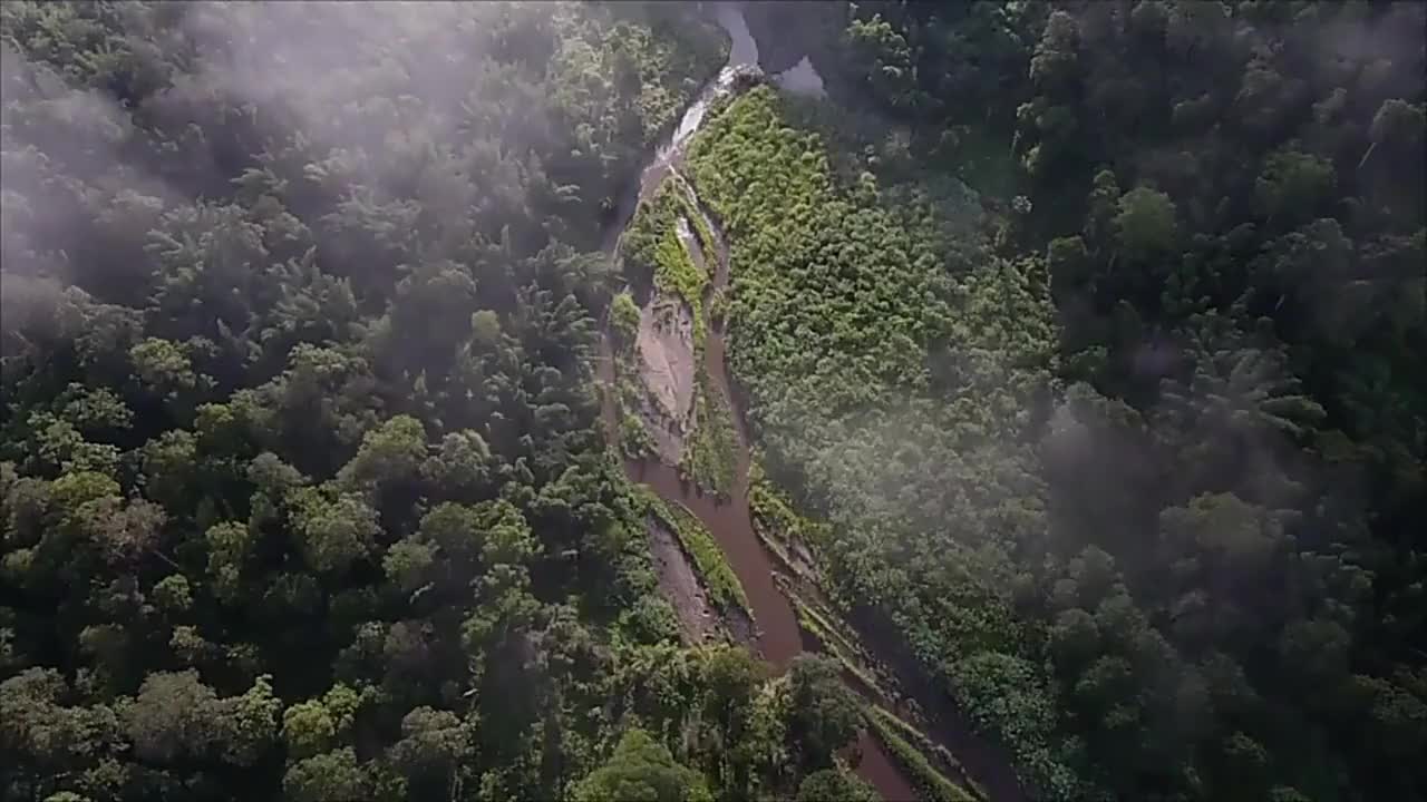 黑鹿推车营地车便携式折叠车载户外露营拉货野餐小拖车购物手拉车(黑鹿推车营地便携式折叠车载户外车)哔哩哔哩bilibili