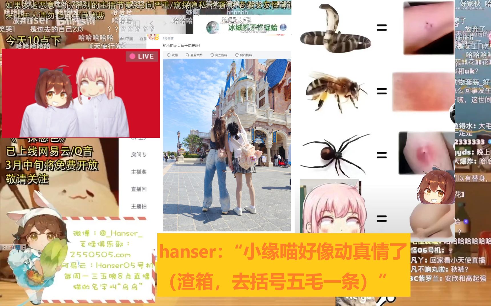 hanser:"最喜欢嗑的cp是毛憨,喜欢看小缘喵被气哭的切片,她好像动真情