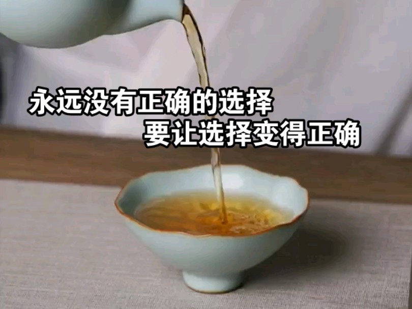 青澹汝窑~永远没有正确的选择,要让选择变得正确哔哩哔哩bilibili