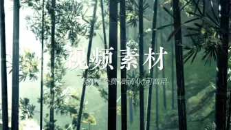 Descargar video: 竹林素材｜竹外桃花三两枝 春江水暖鸭先知｜高清4K正版可商用【新片场素材】