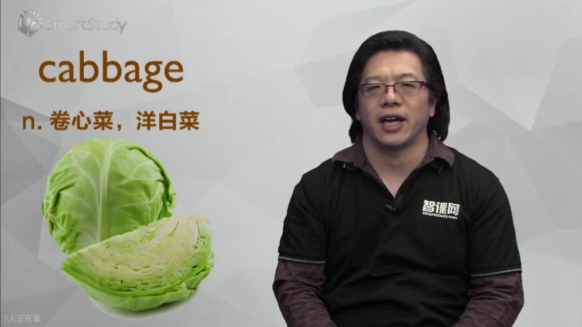 cabbage哔哩哔哩bilibili