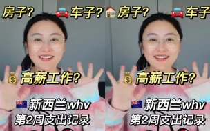 Download Video: 来新西兰第二周，我完成了人生的三件大事！