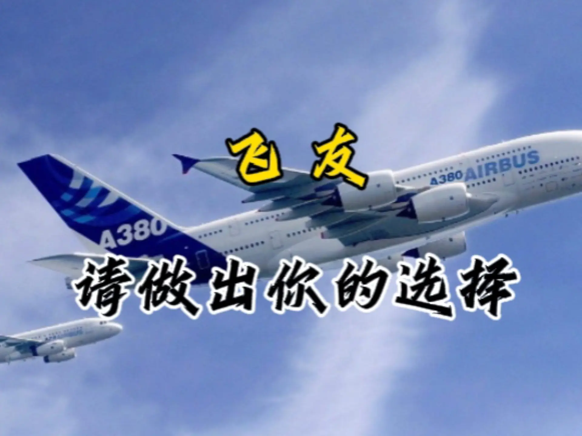 飞友，请做出你的抉择！_哔哩哔哩_bilibili