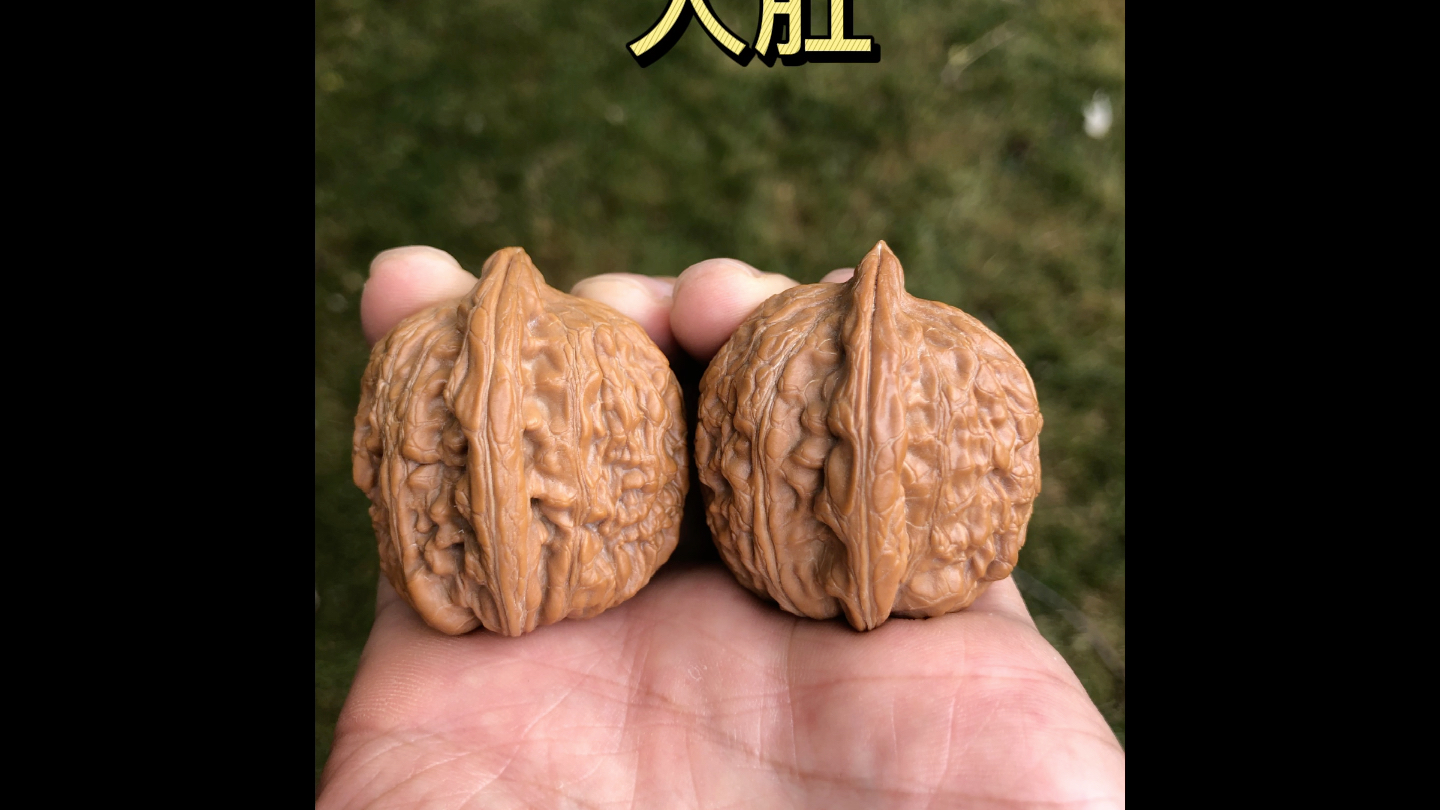 文玩核桃 赤龙鸡心