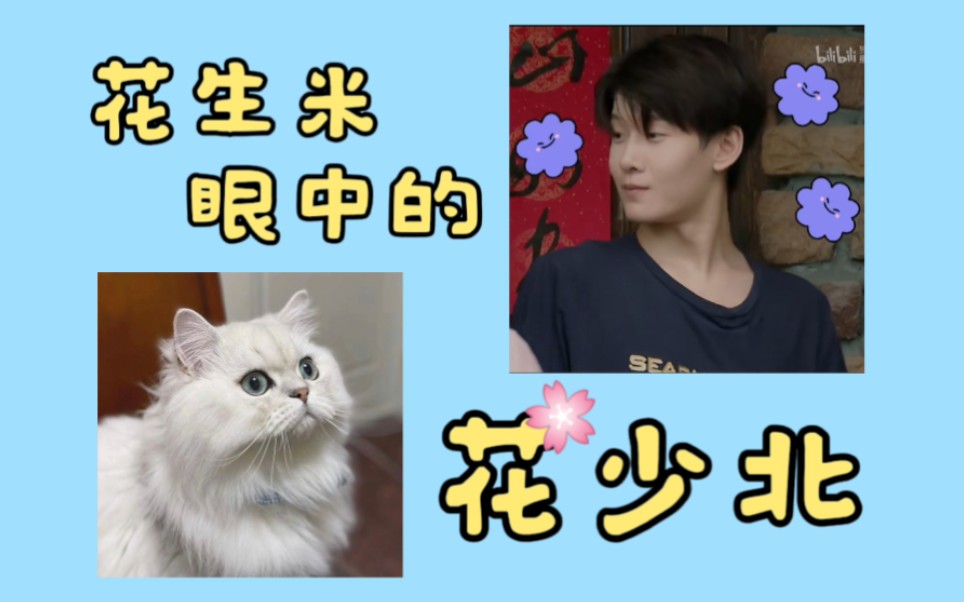 花生米眼中的花少北是什么样?