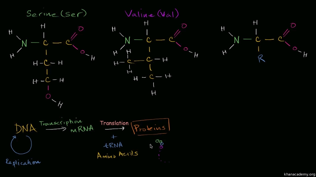 [图]introduction to amino acid