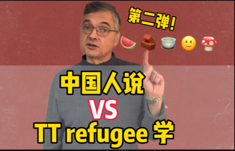 中国人说 VS tt refugee学!第二弹!哔哩哔哩bilibili