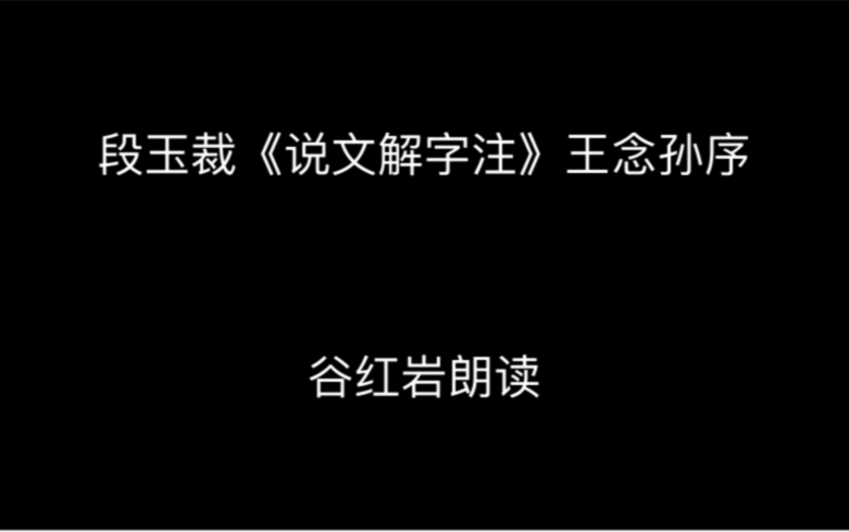 段玉裁《说文解字注》王念孙序谷红岩朗读哔哩哔哩bilibili