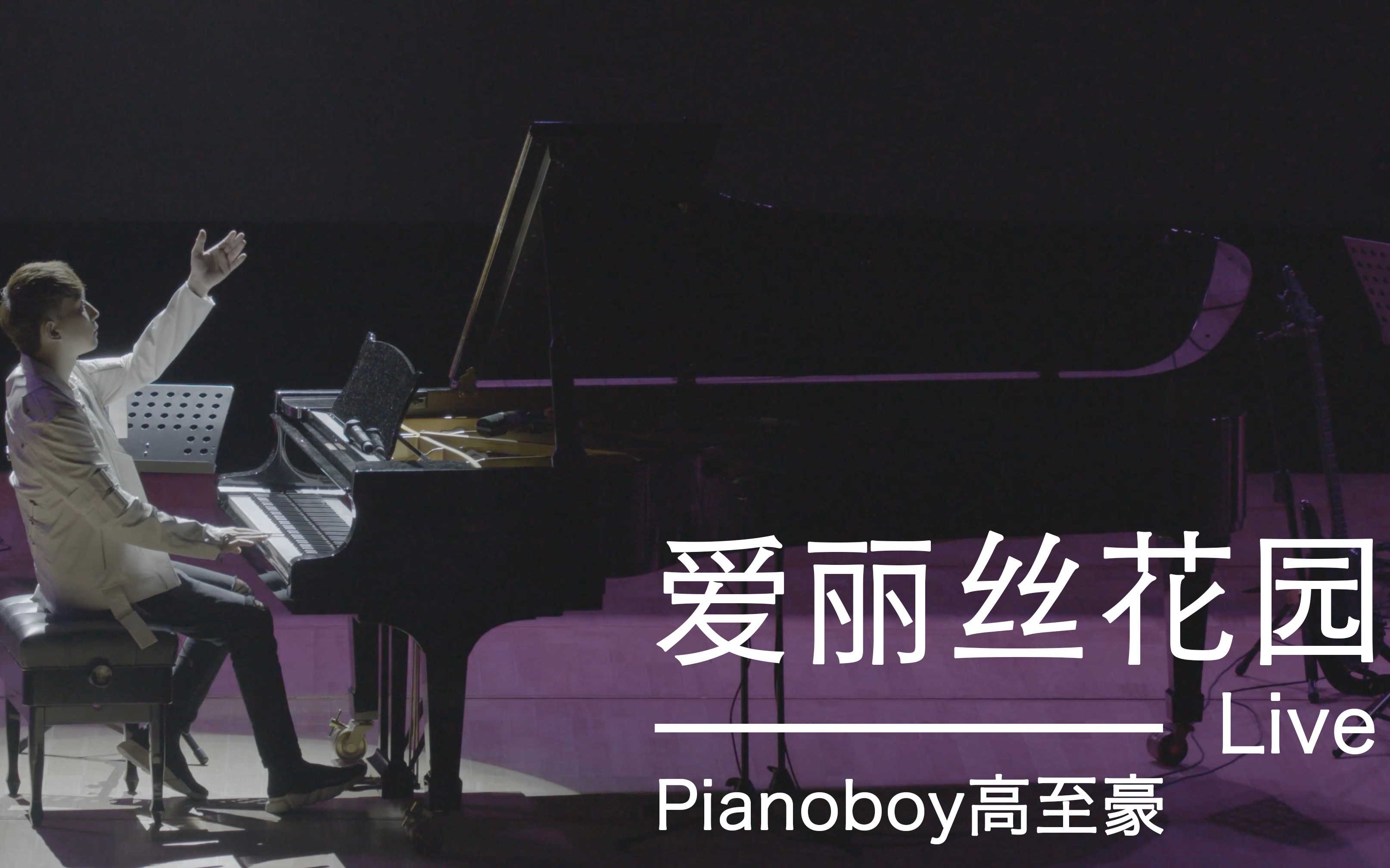 pianoboy高至豪爱丽丝花园live