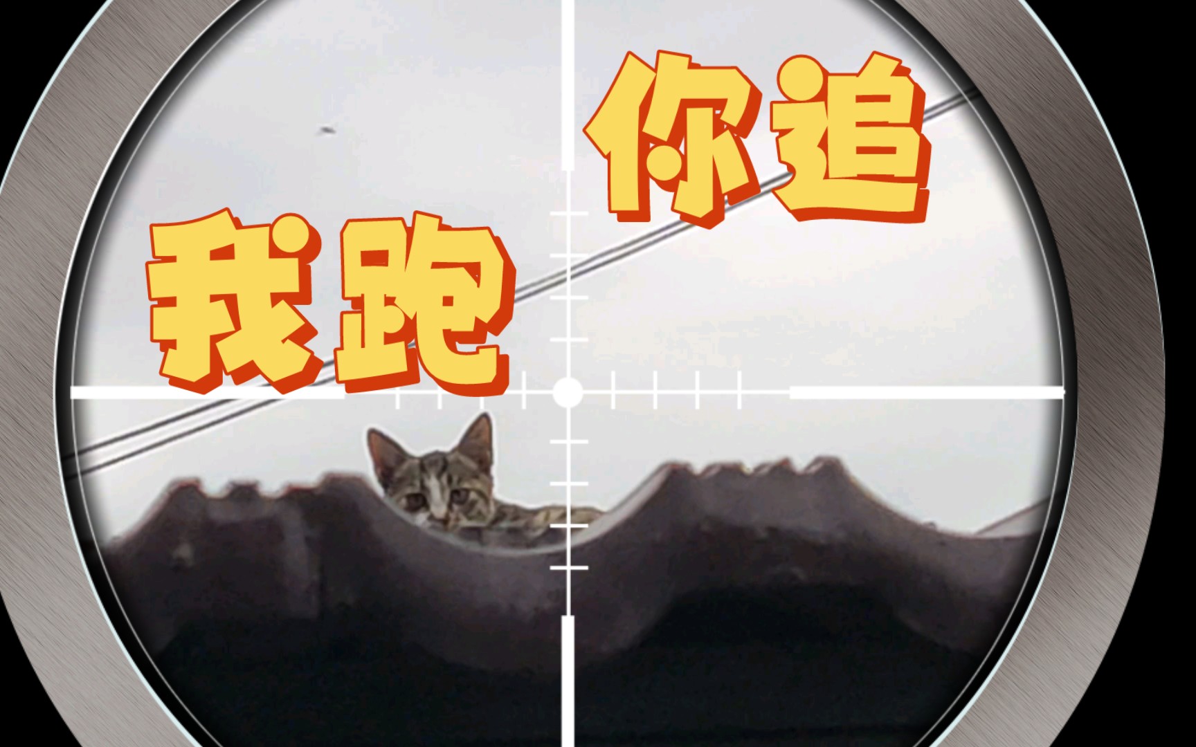 狸明星首部谍战戏《你追我跑》