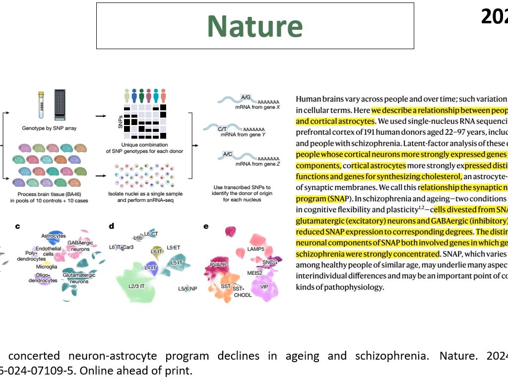 Nature—单细胞组学重磅突破:精神分裂症和衰老具有相似的神经元星形胶质细胞“程序”损害哔哩哔哩bilibili