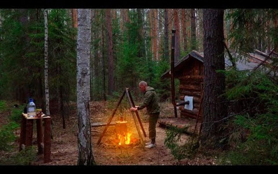 【BUSHCRAFT】在野生森林的小木屋里独自生存哔哩哔哩bilibili