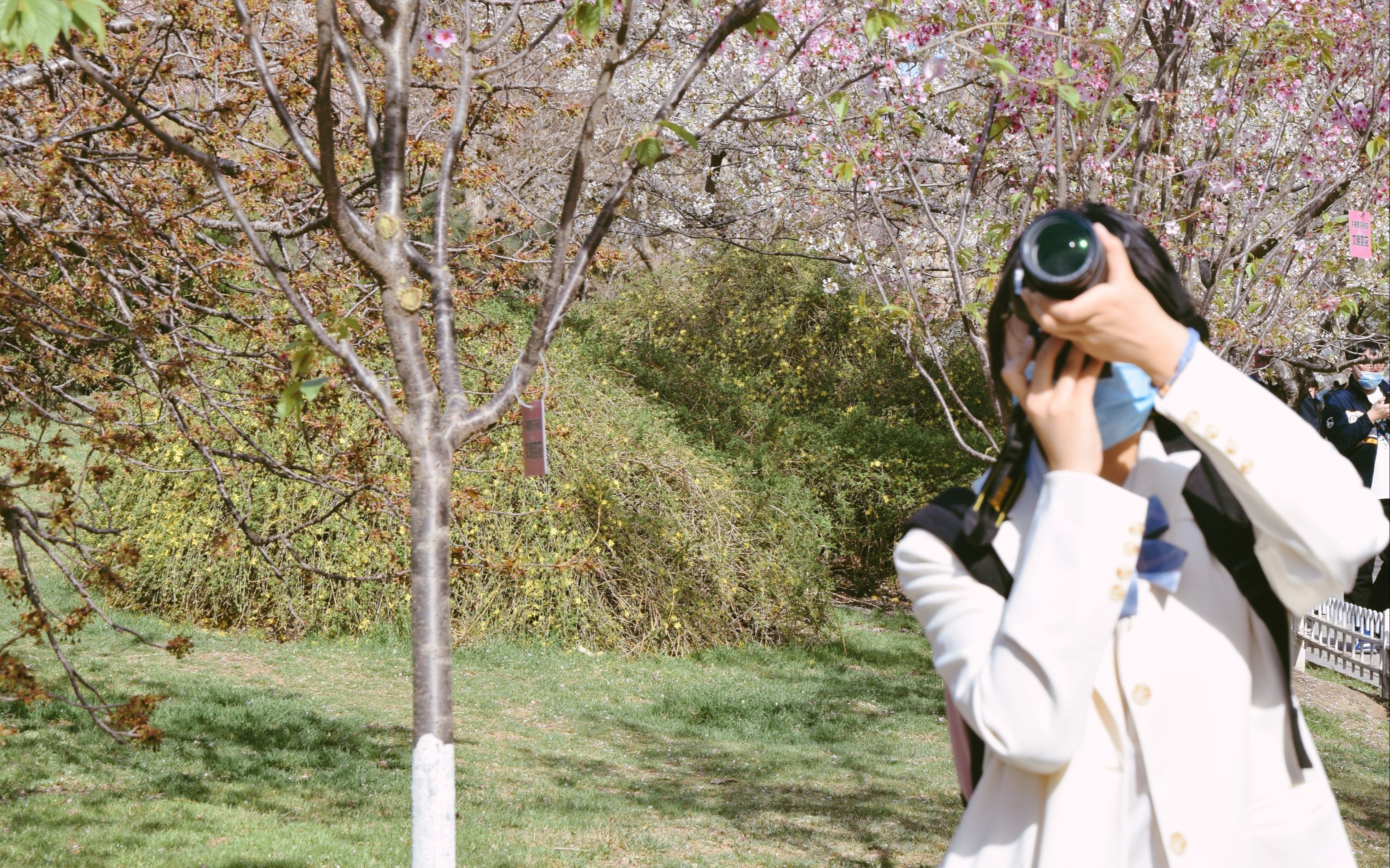 积水潭女子师专春夏图鉴