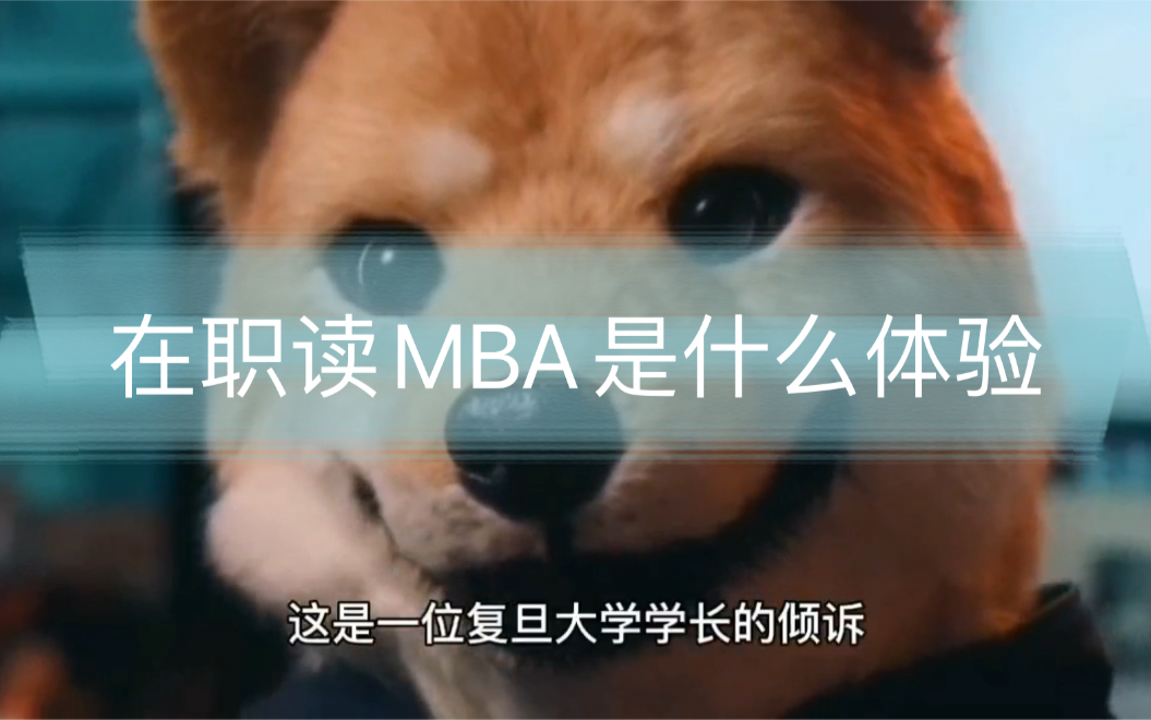 在职MBA是一种什么体验?哔哩哔哩bilibili