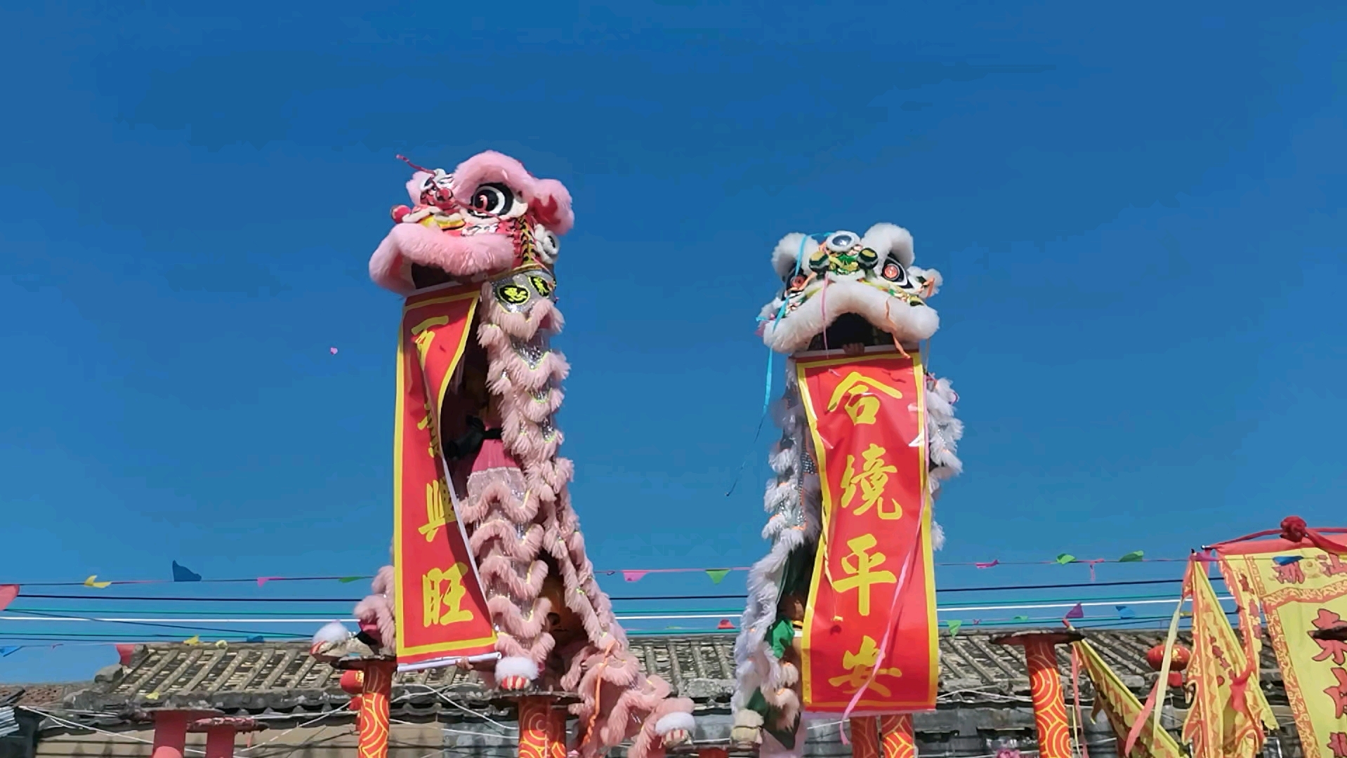 潮汕文化,舞狮子!感受传统狮舞的魅力