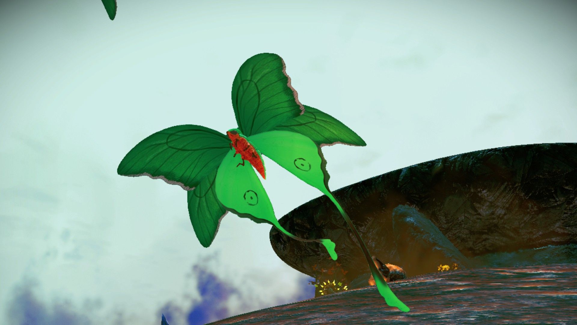 无人深空,漂亮六翼带尾巴绿蝴蝶