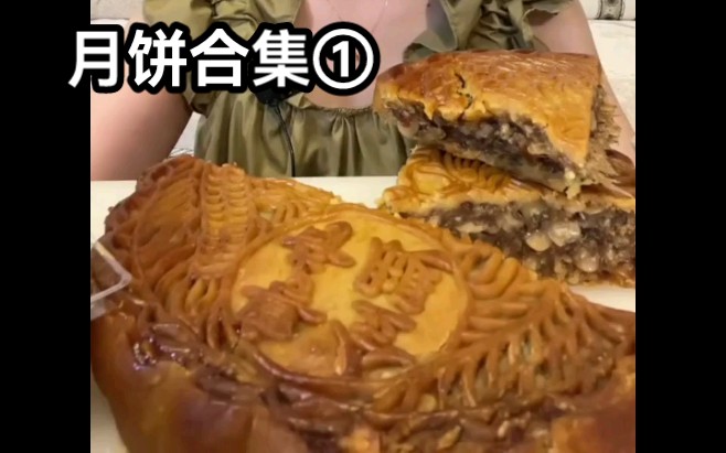 〔月饼合集①〕潮汕大朥饼,鲜肉月饼,老式五仁月饼,枣泥月饼,蛋黄莲蓉月饼,蜜豆豆沙月饼,脆皮月饼,油炸月饼,黑芝麻月饼,流心月饼,巧克力...