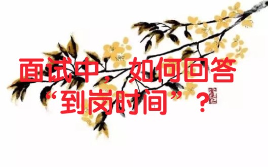 面试中,如何回答“到岗时间”?哔哩哔哩bilibili