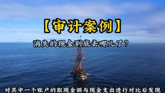 【审计案例】消失的现金到底去哪儿了？