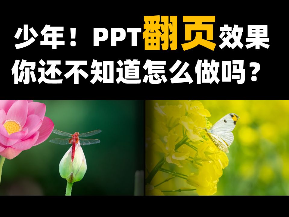 一分钟教会你PPT翻页效果哔哩哔哩bilibili