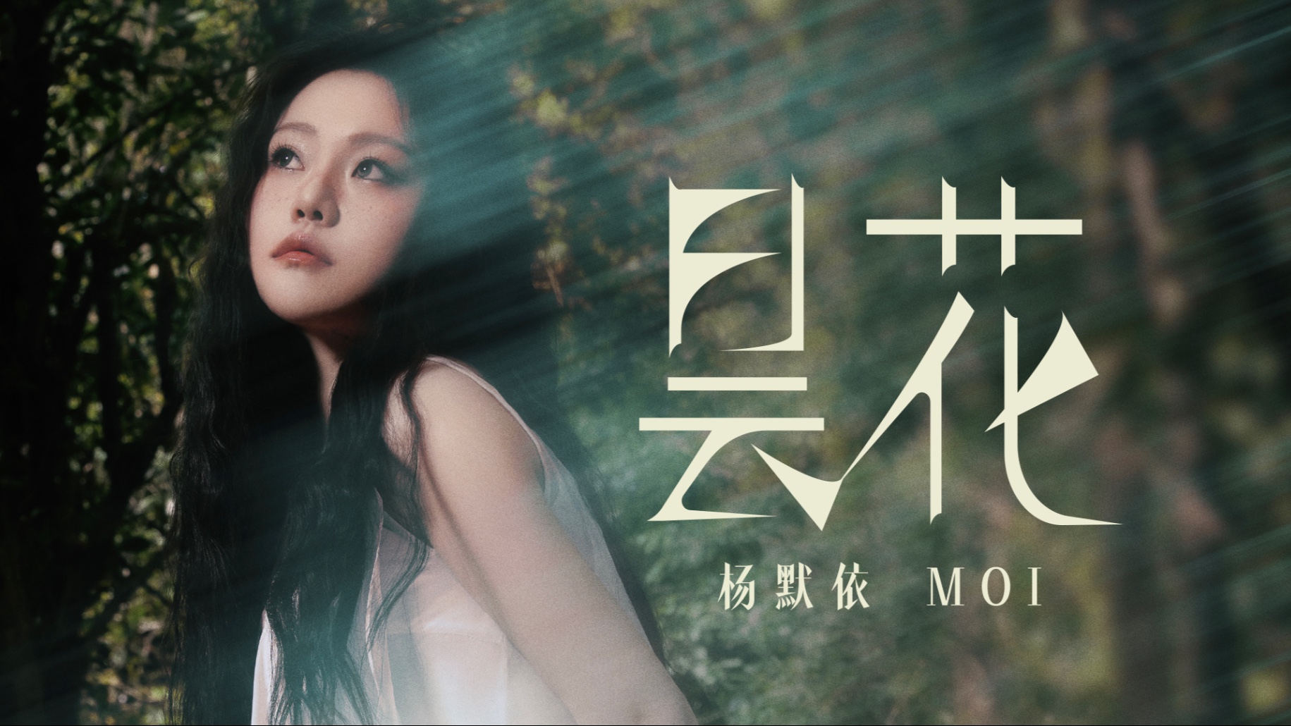 杨默依《昙花》MV-玥隐Rena-橹穆-哔哩哔哩视频