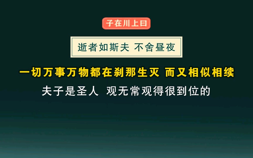 32、《论语》—逝者如斯夫,不舍昼夜哔哩哔哩bilibili