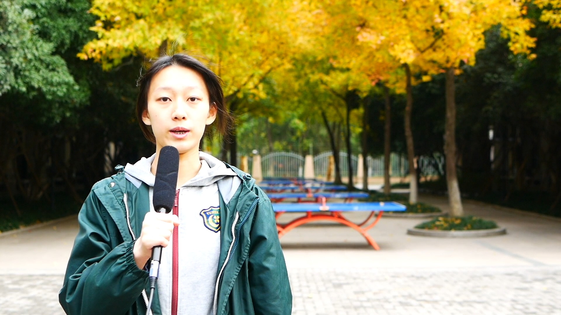 杭州绿城育华学校第六届宪法周