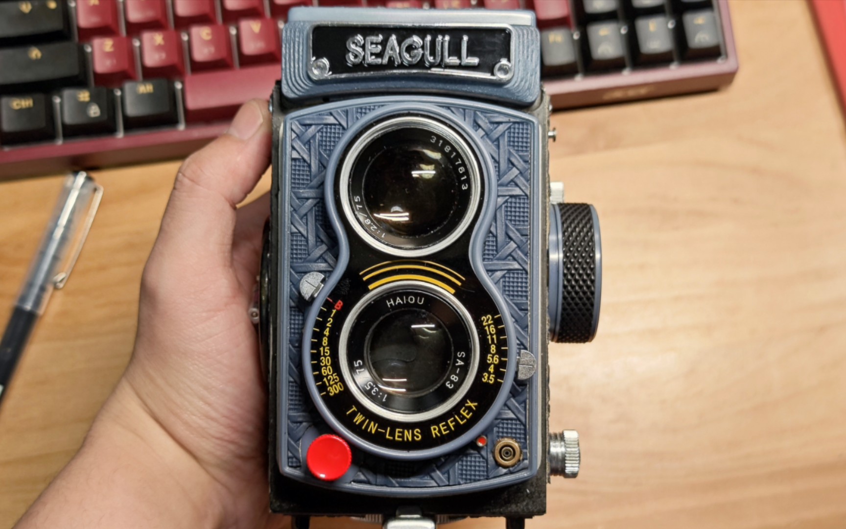 海鸥4a双反 温柔灰