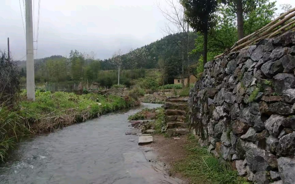 家乡的风景~仙岛湖旅游风景区哔哩哔哩bilibili