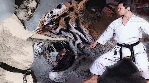 Jka 空手名将 中村綾乃谈空手道 哔哩哔哩 Bilibili