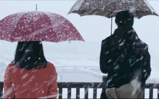 三角草的春天 搜索结果 哔哩哔哩弹幕视频网 つロ乾杯 Bilibili