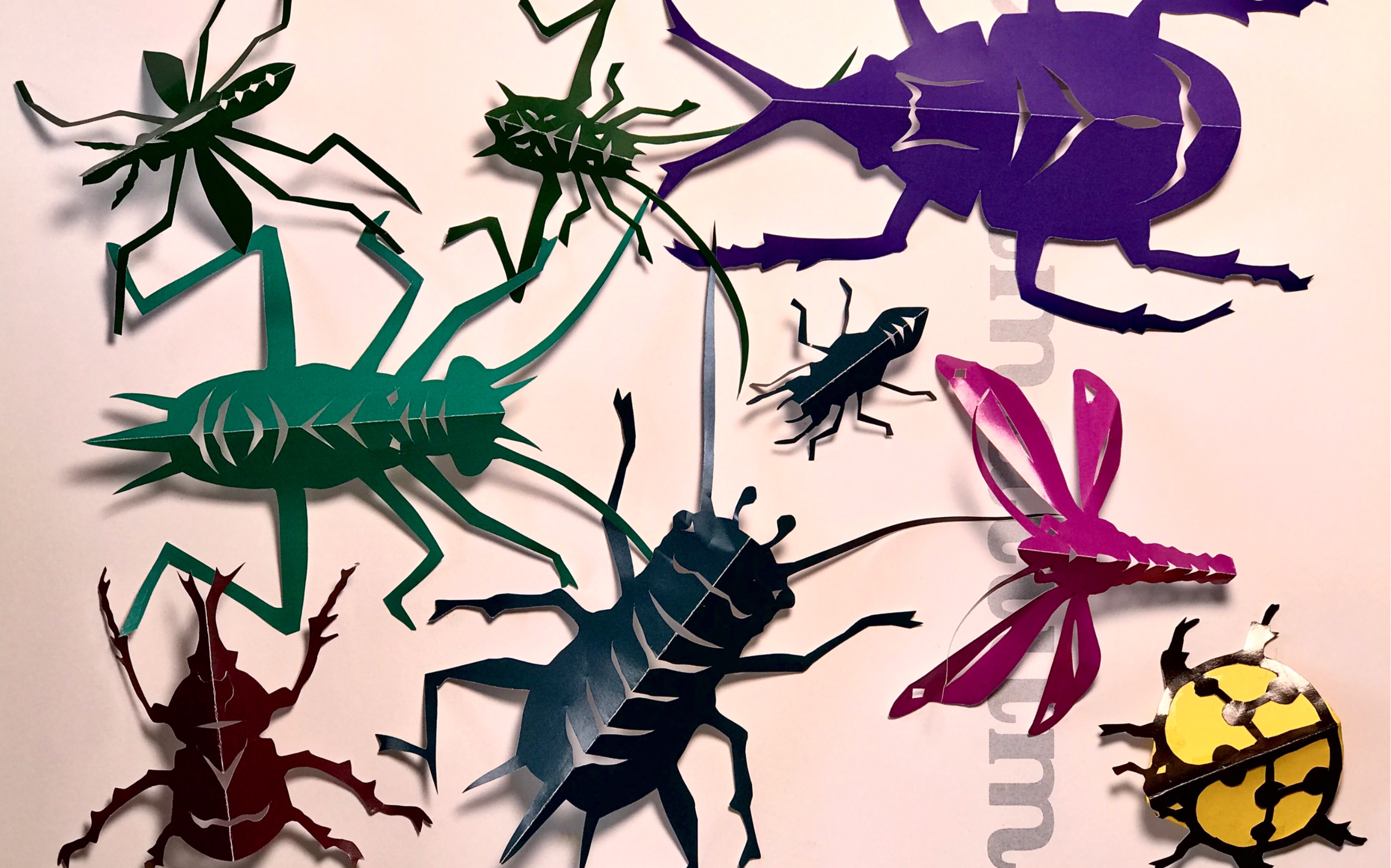 【纸艺·剪纸】剪纸昆虫初级版—星河美育教学视频