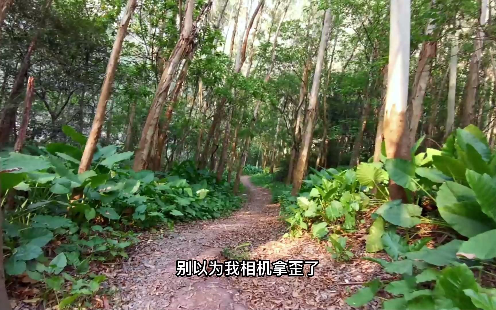 天河少有人知的城市秘境,山野天然美景,竟然还有钓鱼人 #61哔哩哔哩bilibili