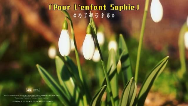 [图]Pour L'enfant Sophie「世界顶级轻音乐」