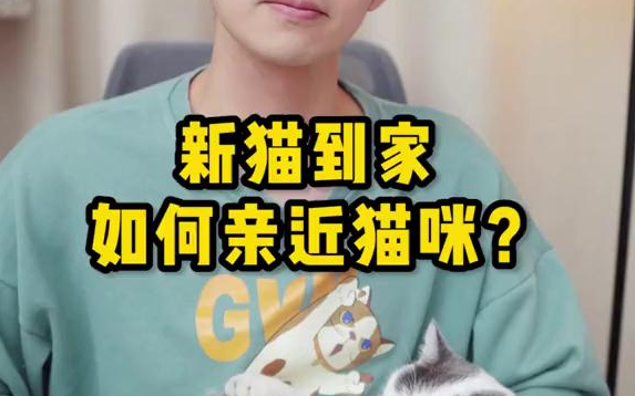 【猫咪】新猫到家记得这样做,能尽快让它亲你哔哩哔哩bilibili