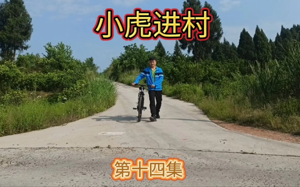 城市节奏太快小虎带友友们走过乡村让身体心灵都放慢下来