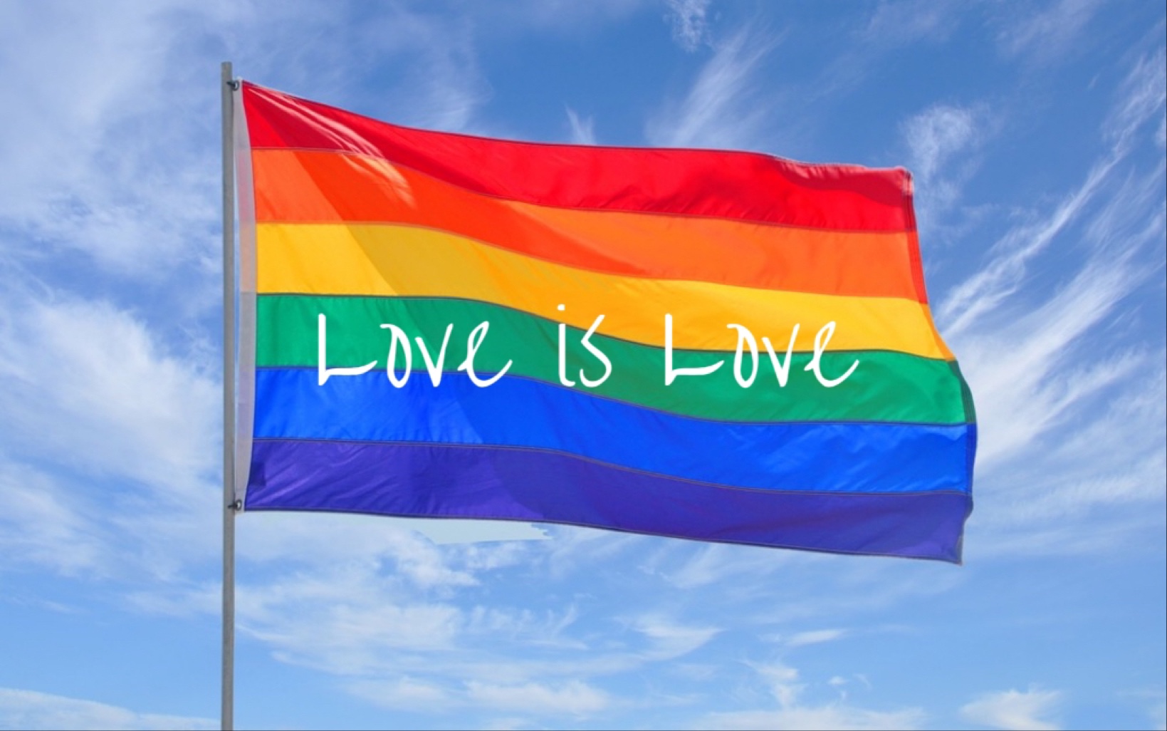 5.17 国际不再恐同日 love is love