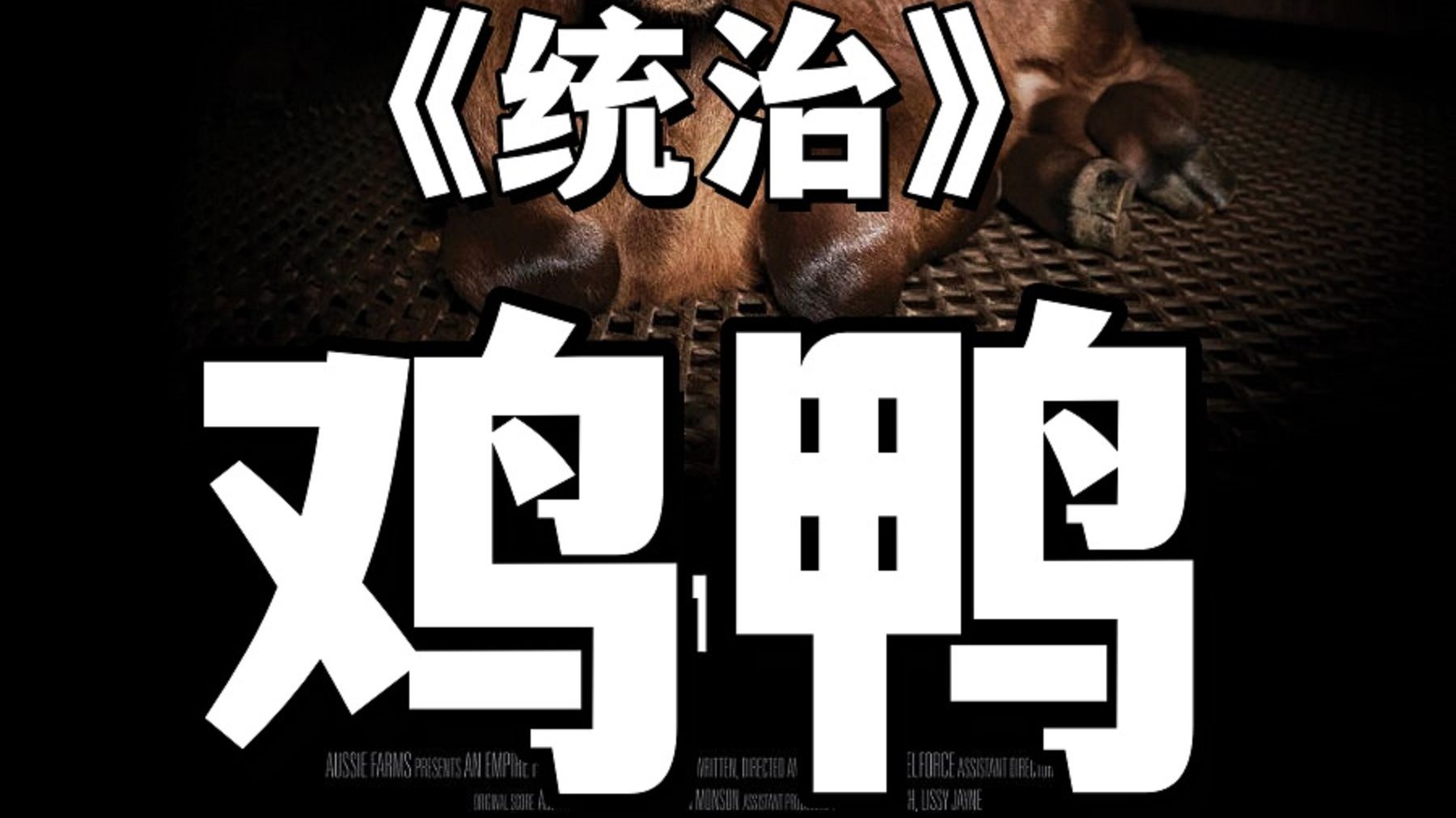 澳大利亚纪录片《统治》鸡,鸭