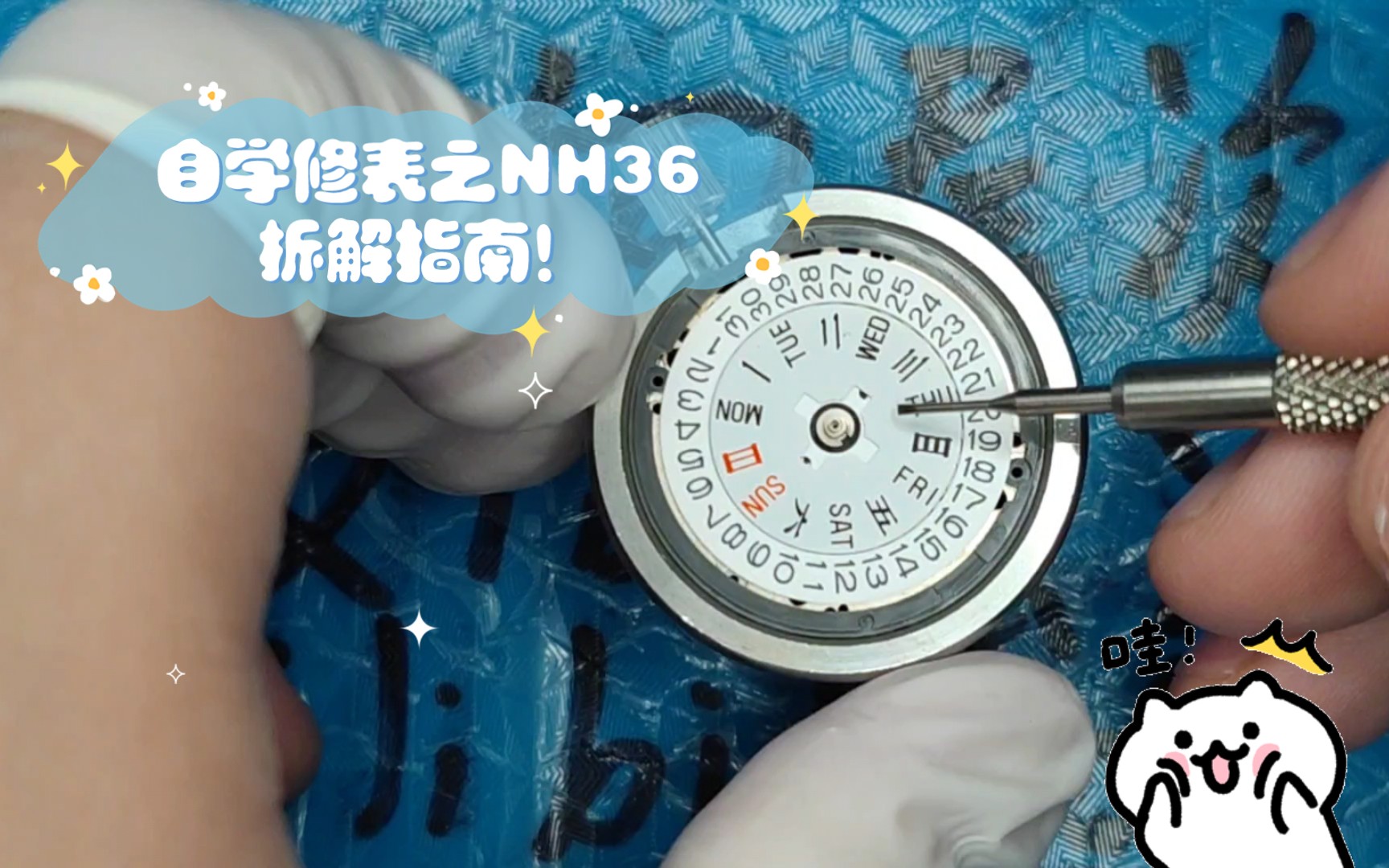 自学修表之NH36拆解指南!百元机械表机芯杂谈哔哩哔哩bilibili