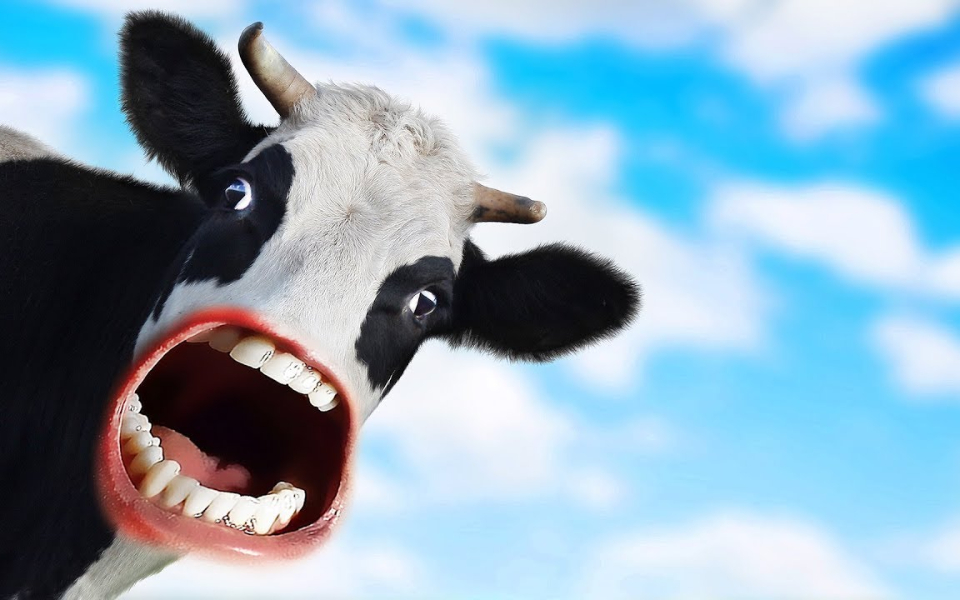 99的人看了都笑了牛的吓人视频搞笑合集油兔不二字幕组