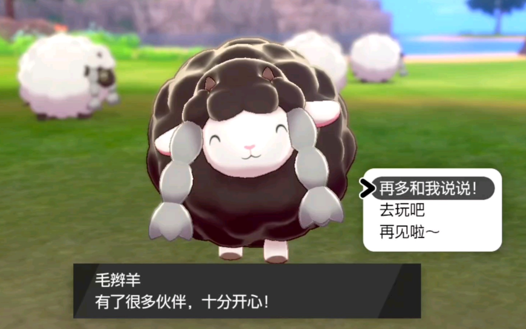宝可梦剑盾得到闪光毛辫羊啦