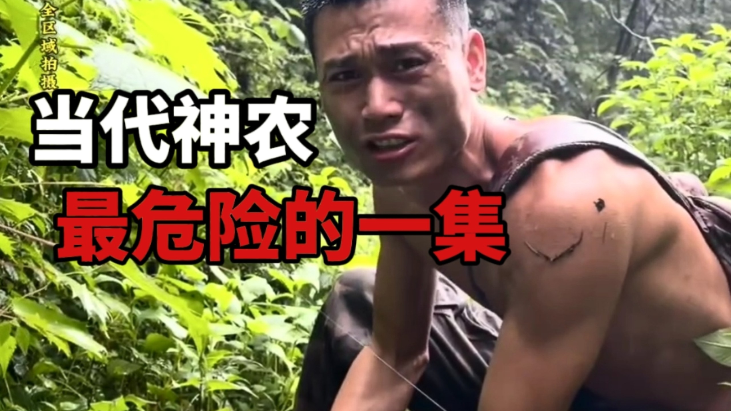 【一尘】鉴定网络热门中医视频（刘教户外）