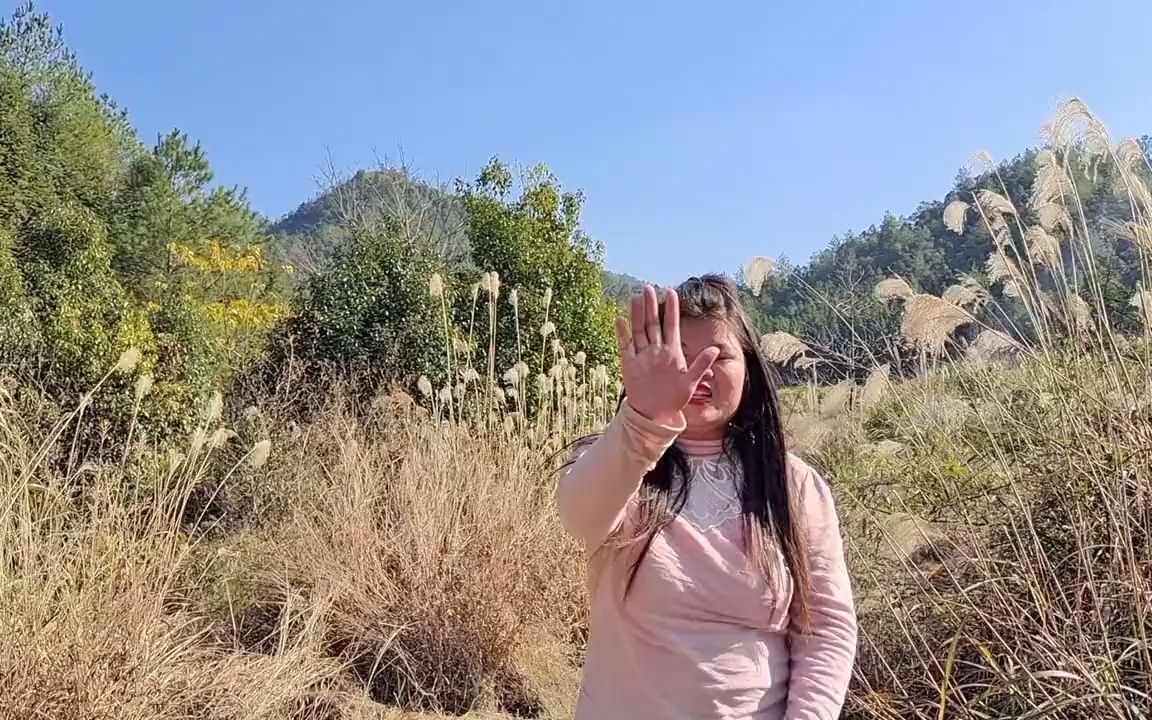 广西越南边境交界处大山发现一群罕见母带仔动物镜头记录全程