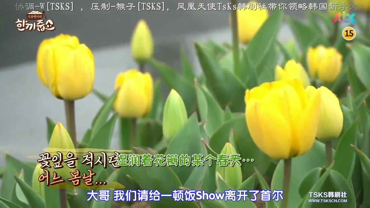 [图][TSKS]《请给一顿饭show》E29.170503【陆星材，李秀景】