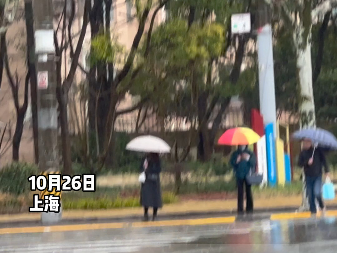 上海今明仍有大雨!明起冷空气影响,还要降温.及时添衣,谨防感冒!哔哩哔哩bilibili