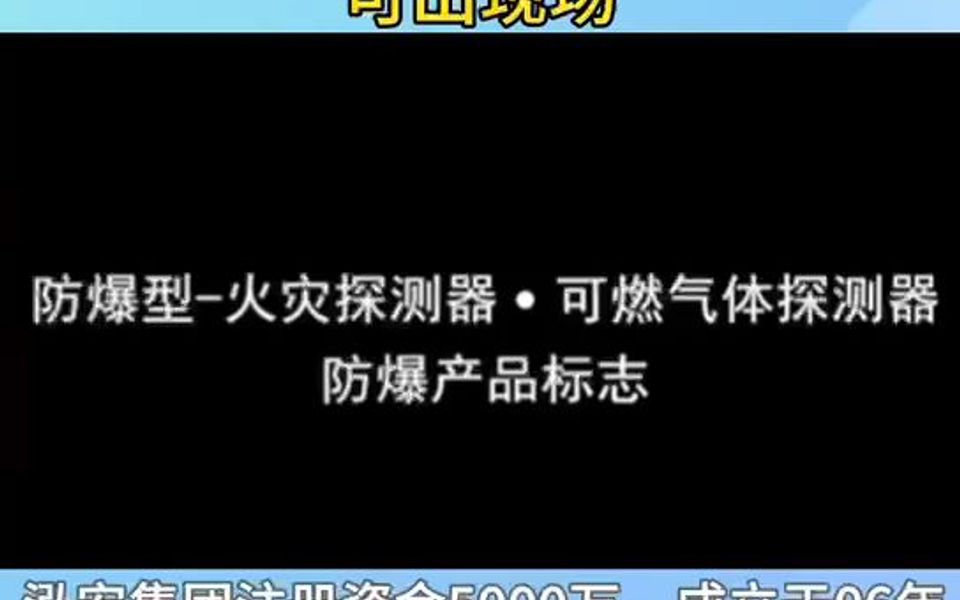 防爆型可燃气体探测器防爆产品标志哔哩哔哩bilibili