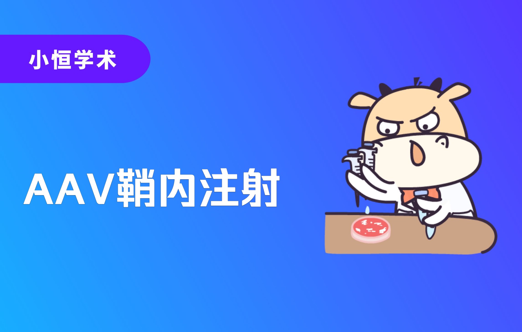 AAV鞘内注射哔哩哔哩bilibili