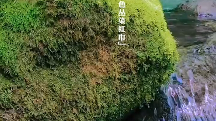 [图]湖北省襄阳市南漳县大山深处的仙境