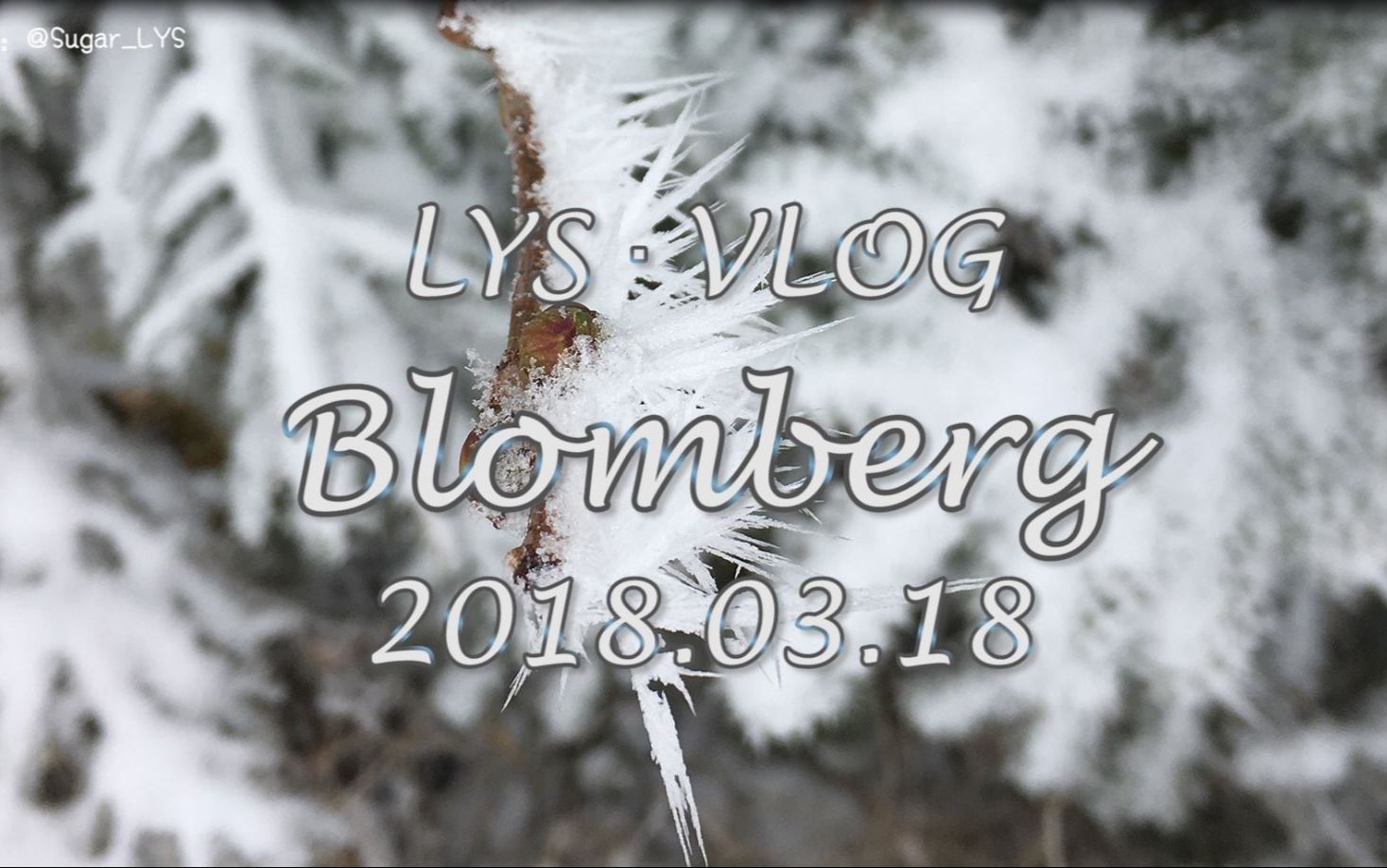 【LYS的旅程】去Blomberg滑雪橇  慕尼黑南部  阿尔卑斯山之雪哔哩哔哩bilibili